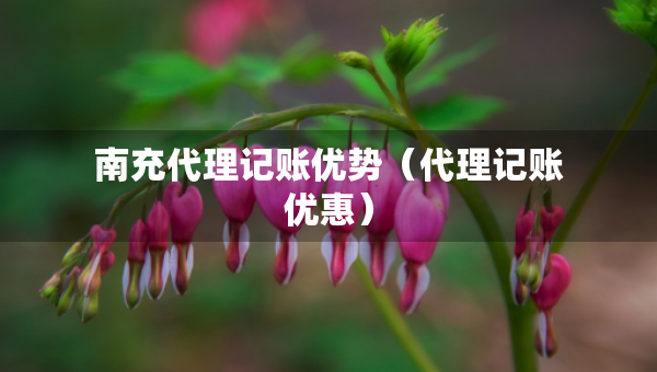 南充代理記賬優(yōu)勢(shì)（代理記賬優(yōu)惠）