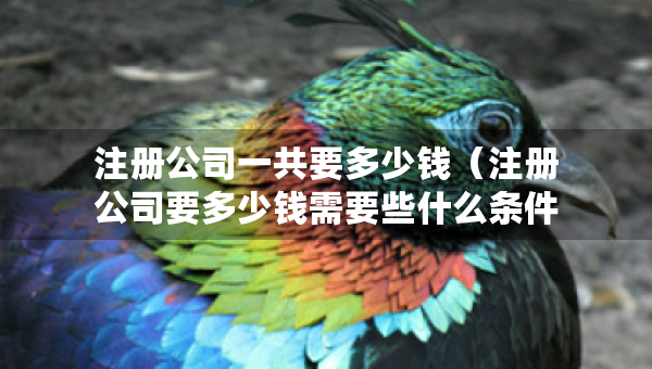 注冊公司一共要多少錢（注冊公司要多少錢需要些什么條件）