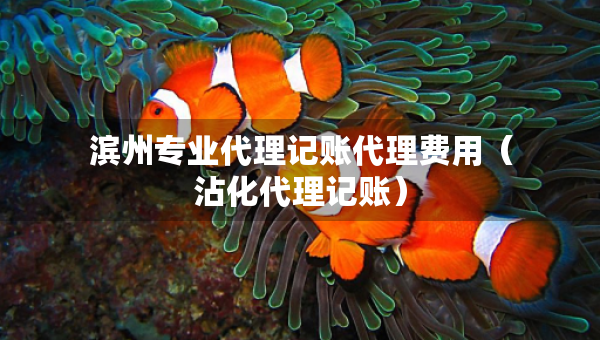 濱州專業(yè)代理記賬代理費(fèi)用（沾化代理記賬）