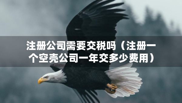 注冊公司需要交稅嗎（注冊一個空殼公司一年交多少費用）