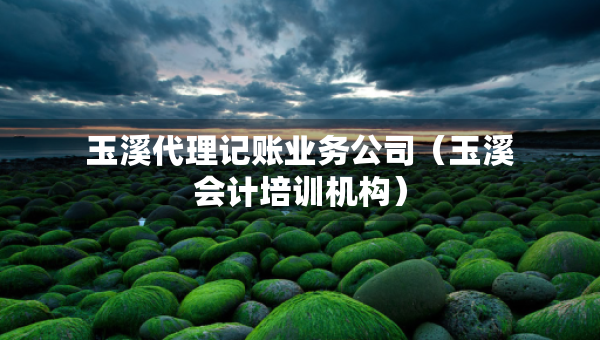 玉溪代理記賬業(yè)務(wù)公司（玉溪會計培訓(xùn)機(jī)構(gòu)）