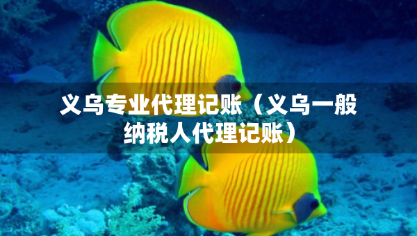 義烏專業(yè)代理記賬（義烏一般納稅人代理記賬）