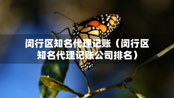 閔行區(qū)知名代理記賬（閔行區(qū)知名代理記賬公司排名）