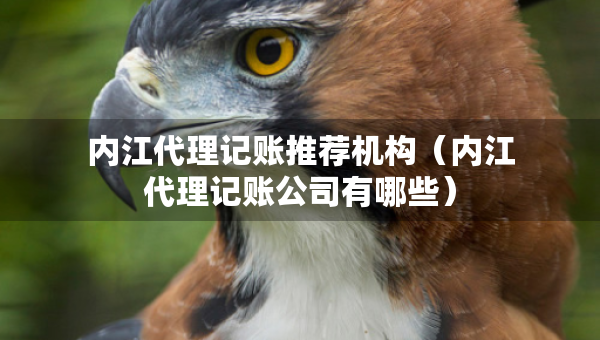 內(nèi)江代理記賬推薦機(jī)構(gòu)（內(nèi)江代理記賬公司有哪些）