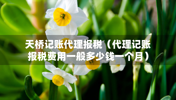 天橋記賬代理報稅（代理記賬報稅費用一般多少錢一個月）