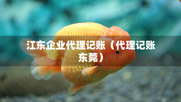 江東企業(yè)代理記賬（代理記賬東莞）