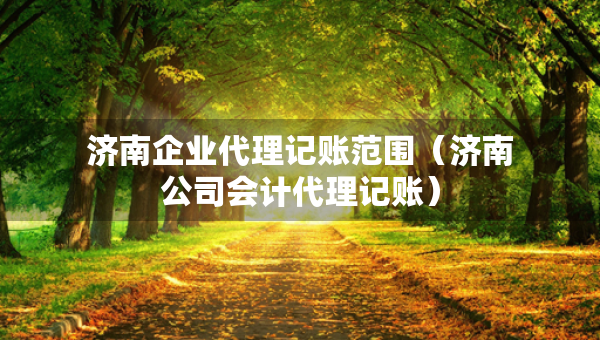 濟南企業(yè)代理記賬范圍（濟南公司會計代理記賬）