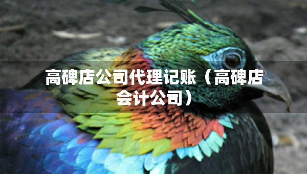 高碑店公司代理記賬（高碑店會計公司）