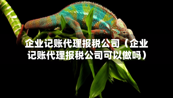 企業(yè)記賬代理報稅公司（企業(yè)記賬代理報稅公司可以做嗎）