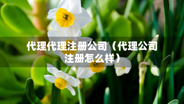 代理代理注冊公司（代理公司注冊怎么樣）