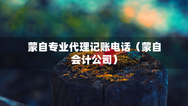蒙自專業(yè)代理記賬電話（蒙自會(huì)計(jì)公司）