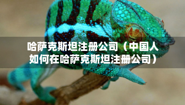 哈薩克斯坦注冊公司（中國人如何在哈薩克斯坦注冊公司）