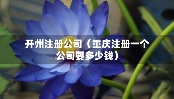 開州注冊公司（重慶注冊一個公司要多少錢）