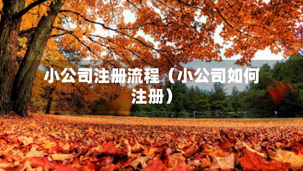 小公司注冊流程（小公司如何注冊）