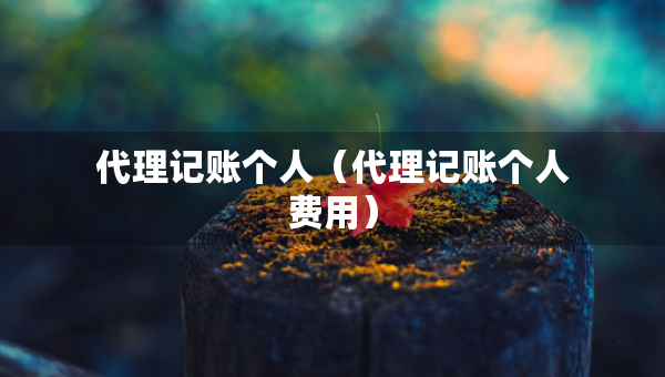 代理記賬個人（代理記賬個人費用）