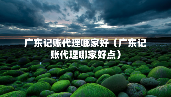 廣東記賬代理哪家好（廣東記賬代理哪家好點）
