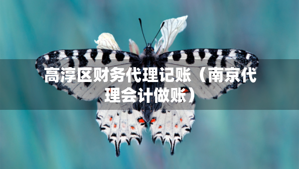 高淳區(qū)財務(wù)代理記賬（南京代理會計做賬）