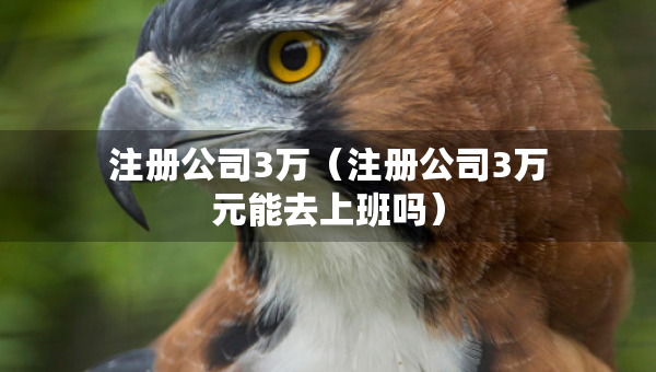 注冊公司3萬（注冊公司3萬元能去上班嗎）