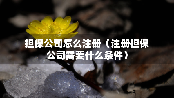 擔(dān)保公司怎么注冊(cè)（注冊(cè)擔(dān)保公司需要什么條件）