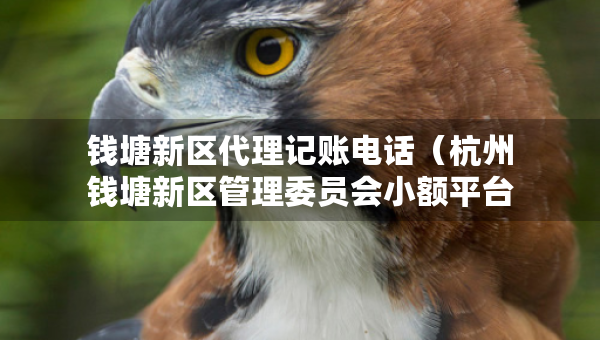 錢塘新區(qū)代理記賬電話（杭州錢塘新區(qū)管理委員會(huì)小額平臺(tái)）