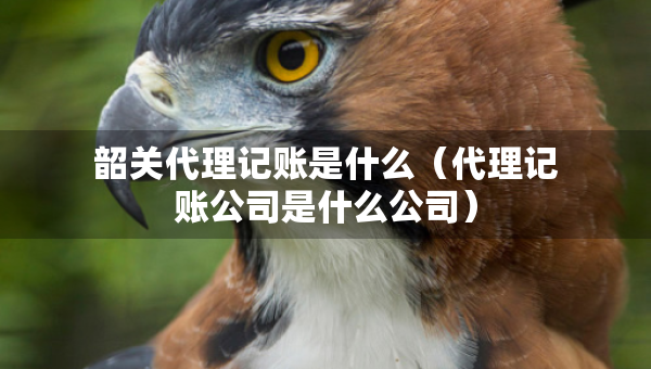 韶關(guān)代理記賬是什么（代理記賬公司是什么公司）
