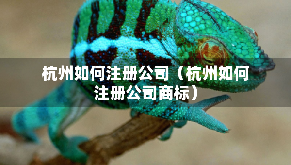 杭州如何注冊公司（杭州如何注冊公司商標）
