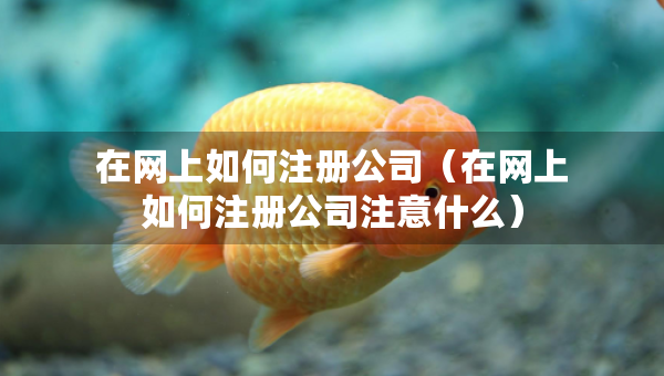 在網(wǎng)上如何注冊公司（在網(wǎng)上如何注冊公司注意什么）