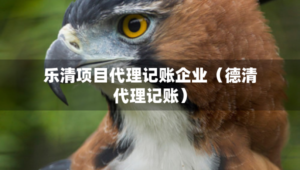 樂(lè)清項(xiàng)目代理記賬企業(yè)（德清代理記賬）