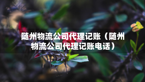 隨州物流公司代理記賬（隨州物流公司代理記賬電話）