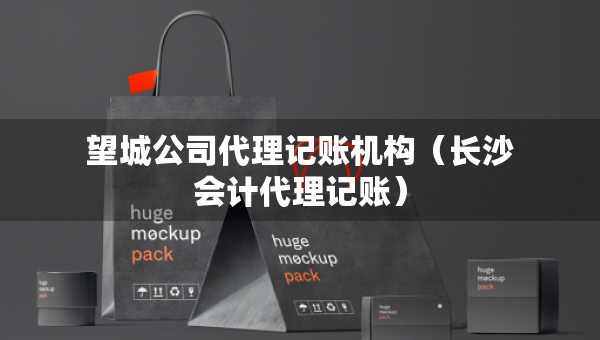 望城公司代理記賬機(jī)構(gòu)（長沙會(huì)計(jì)代理記賬）