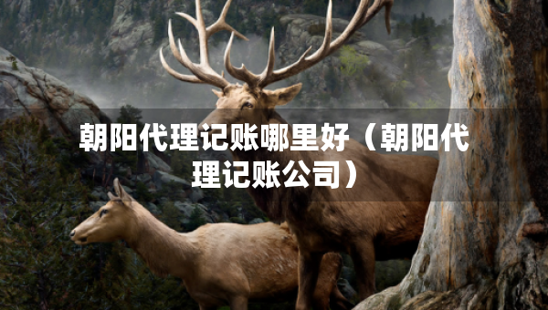 朝陽(yáng)代理記賬哪里好（朝陽(yáng)代理記賬公司）