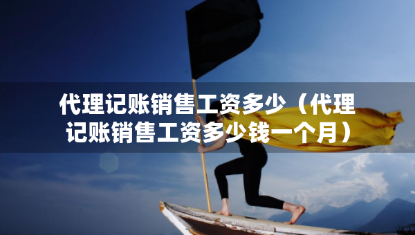 代理記賬銷售工資多少（代理記賬銷售工資多少錢一個月）