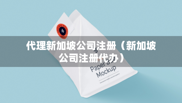 代理新加坡公司注冊（新加坡公司注冊代辦）