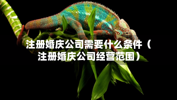 注冊(cè)婚慶公司需要什么條件（注冊(cè)婚慶公司經(jīng)營(yíng)范圍）