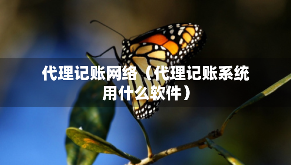 代理記賬網(wǎng)絡（代理記賬系統(tǒng)用什么軟件）
