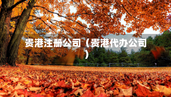 貴港注冊(cè)公司（貴港代辦公司）
