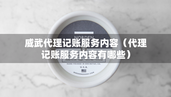 威武代理記賬服務(wù)內(nèi)容（代理記賬服務(wù)內(nèi)容有哪些）