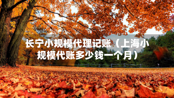 長(zhǎng)寧小規(guī)模代理記賬（上海小規(guī)模代賬多少錢一個(gè)月）