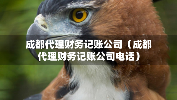 成都代理財務(wù)記賬公司（成都代理財務(wù)記賬公司電話）