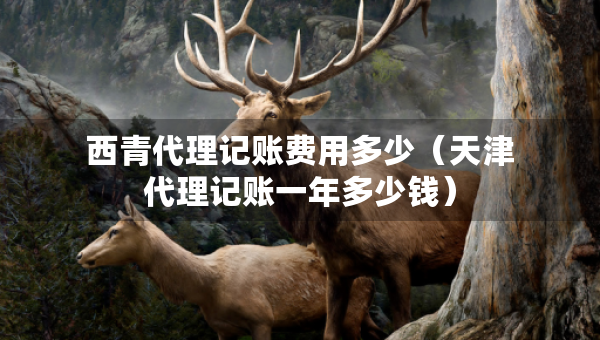 西青代理記賬費(fèi)用多少（天津代理記賬一年多少錢）