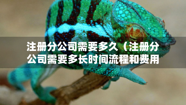 注冊(cè)分公司需要多久（注冊(cè)分公司需要多長(zhǎng)時(shí)間流程和費(fèi)用）