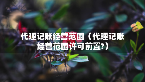 代理記賬經(jīng)營(yíng)范圍（代理記賬經(jīng)營(yíng)范圍許可前置?）