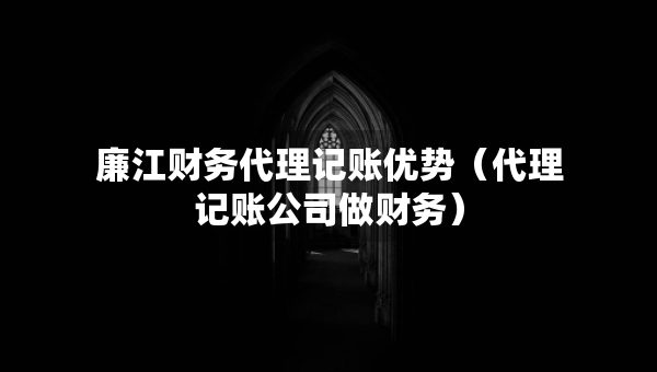 廉江財(cái)務(wù)代理記賬優(yōu)勢（代理記賬公司做財(cái)務(wù)）