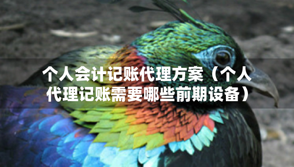 個人會計記賬代理方案（個人代理記賬需要哪些前期設(shè)備）