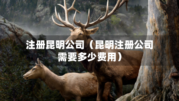 注冊昆明公司（昆明注冊公司需要多少費用）