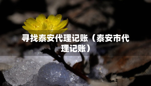 尋找泰安代理記賬（泰安市代理記賬）