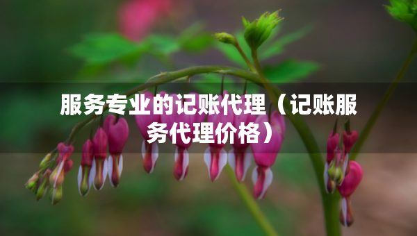 服務專業(yè)的記賬代理（記賬服務代理價格）
