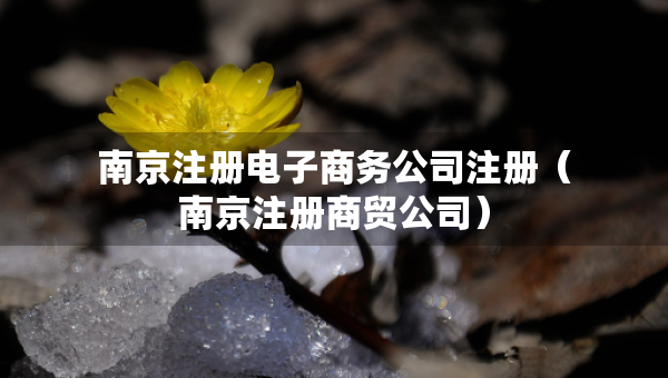 南京注冊電子商務公司注冊（南京注冊商貿(mào)公司）