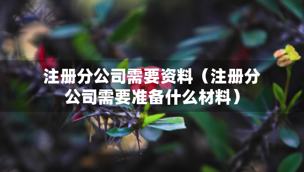 注冊分公司需要資料（注冊分公司需要準備什么材料）