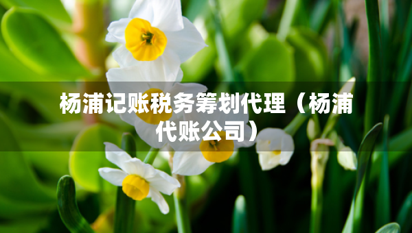 楊浦記賬稅務(wù)籌劃代理（楊浦代賬公司）